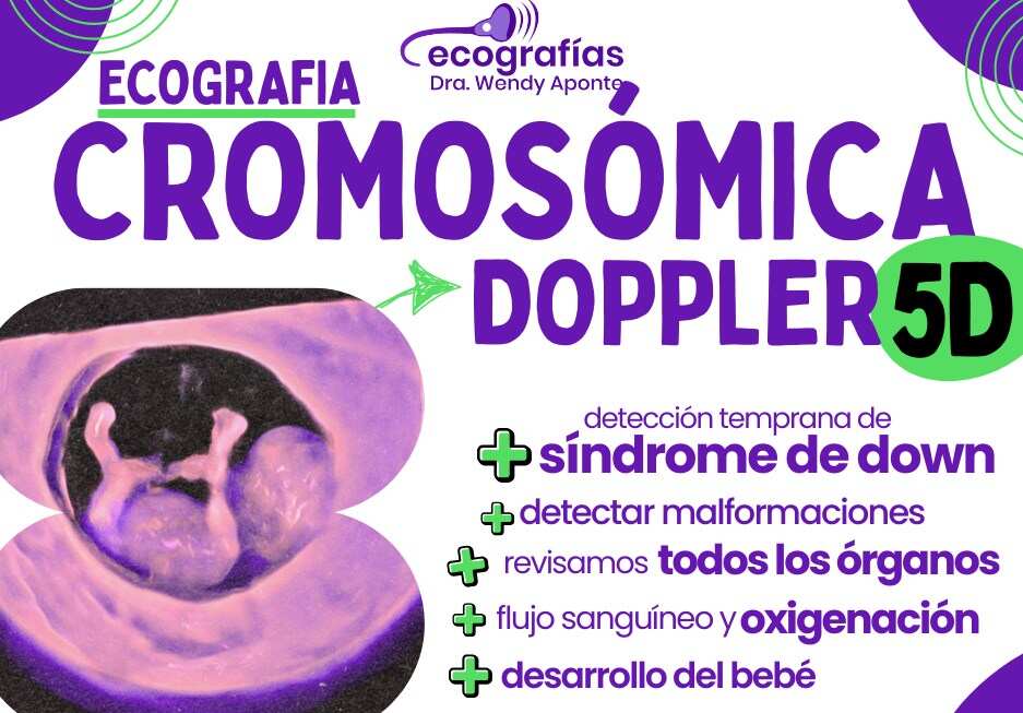 ecografia morfológica